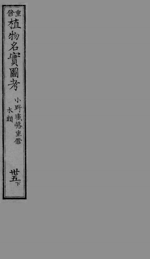 植物名实图考  35  下